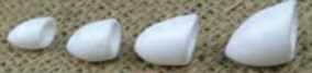 HARD FOAM T.C.S. POPPERS