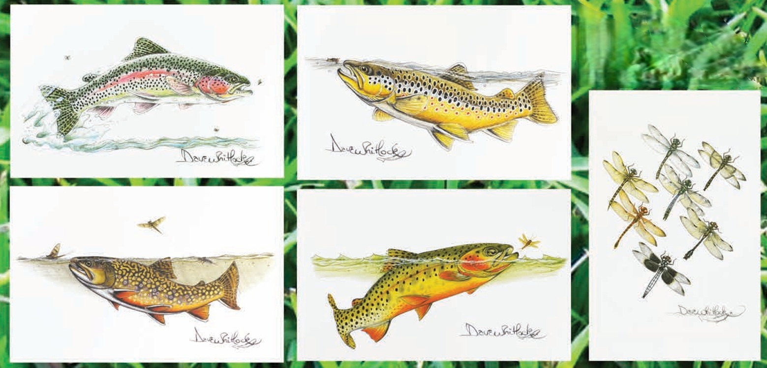 WHITLOCK NOTECARD, ASSORTMENT